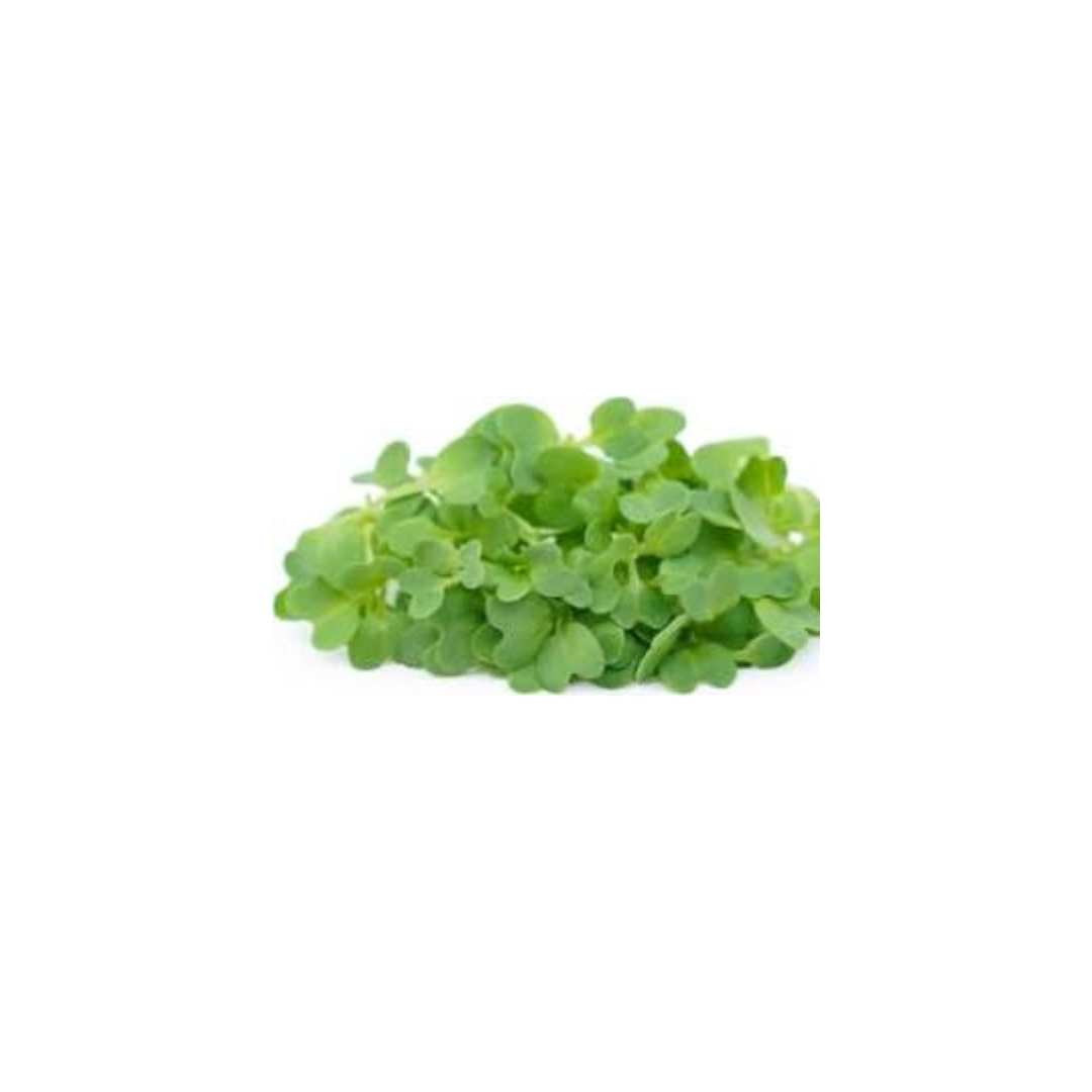 Micro Mustard Cress