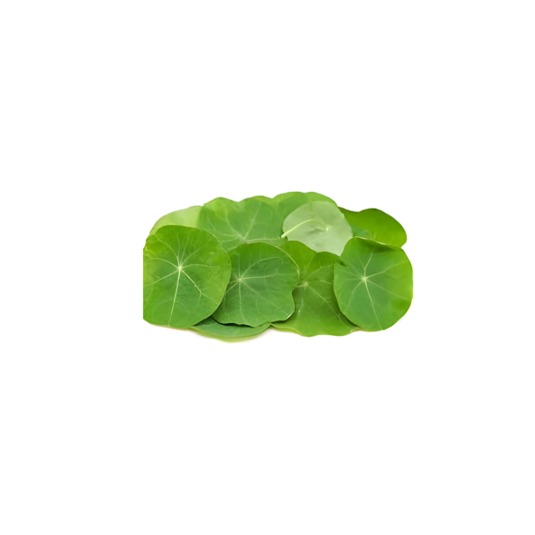 Micro Nasturtium Leaves