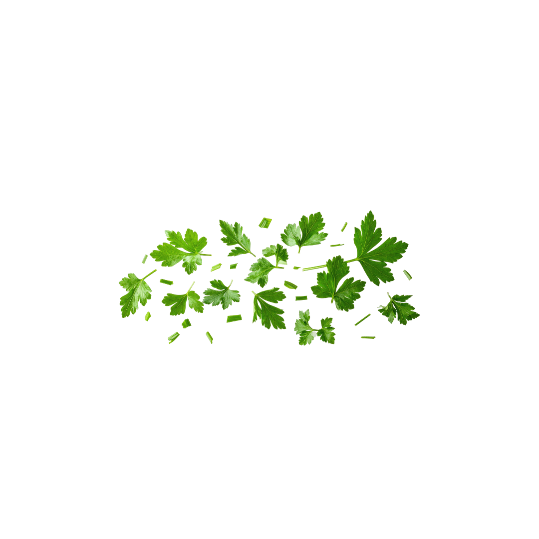 Micro Parsley
