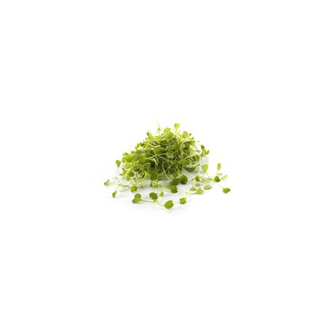 Micro Rocket