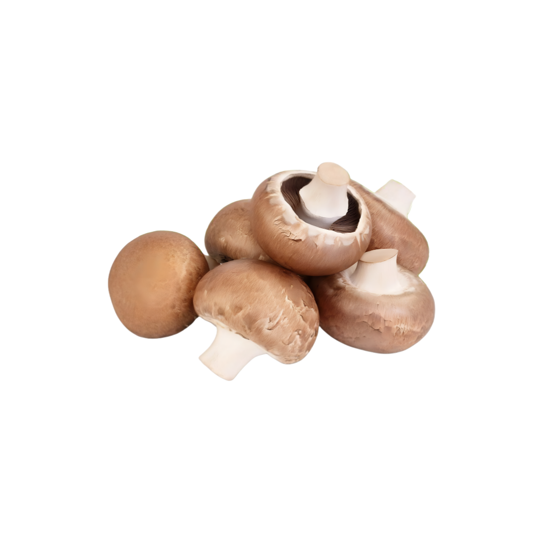 Mushroom - Champignon (Extra Small)