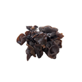 Mushrooms - Black Fungi
