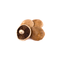 Mushrooms - Portobello