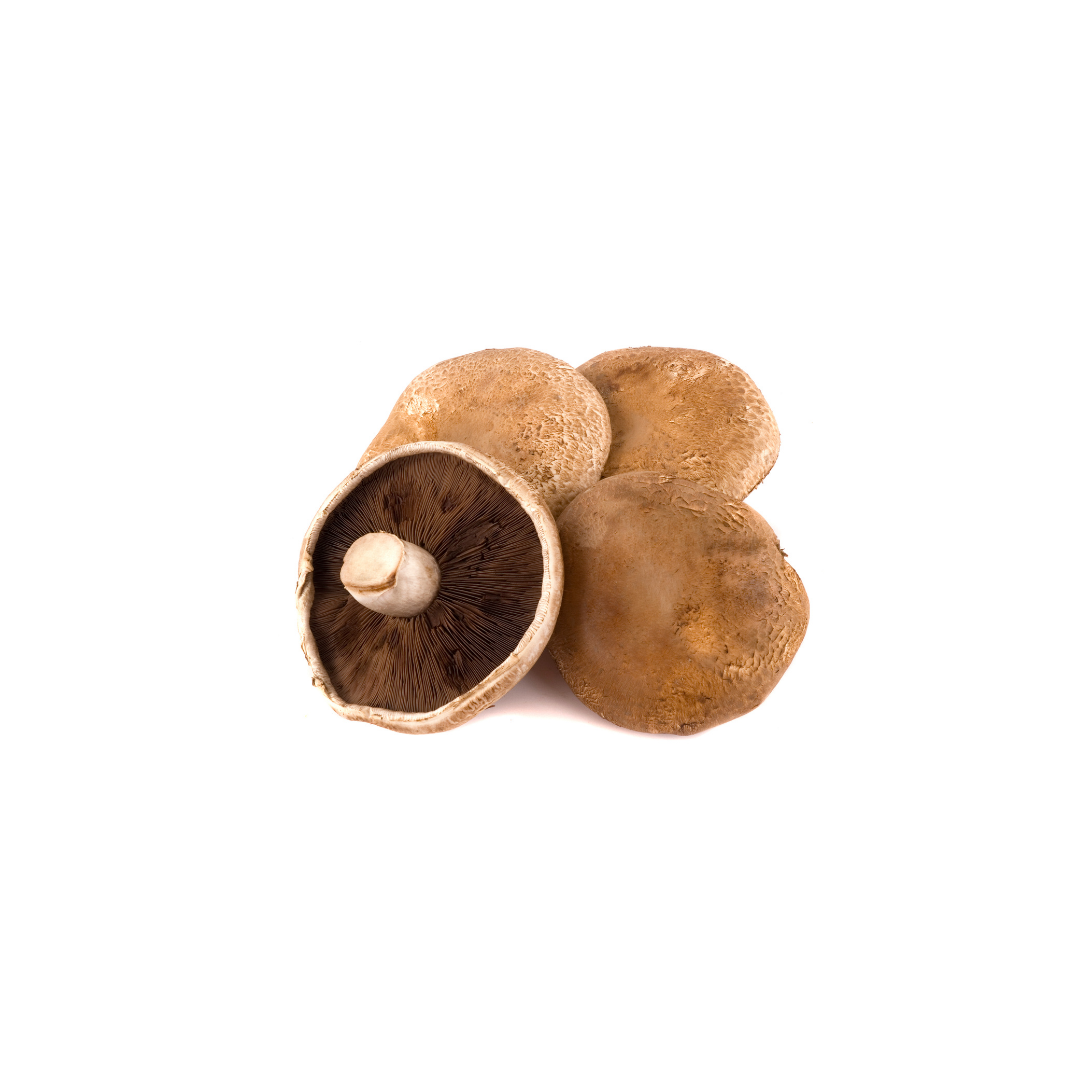 Mushrooms - Portobello