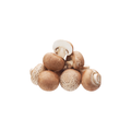 Mushrooms - Swiss Brown