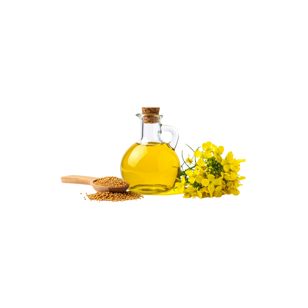 Oil - Canola
