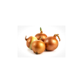 Onions - Cocktail / Pickling