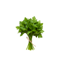 Parsley - Continental