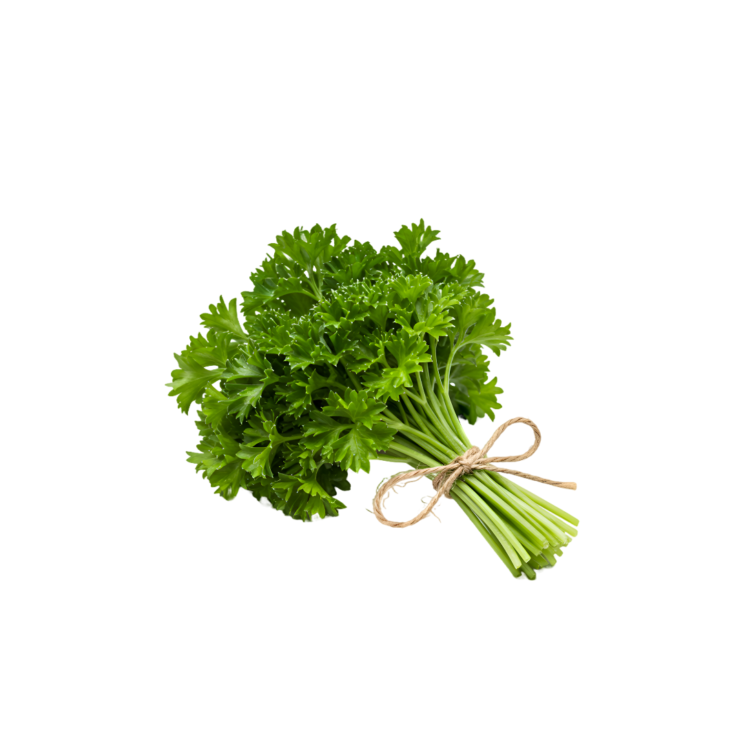 Parsley Curly Aus