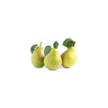 Pears - Packham