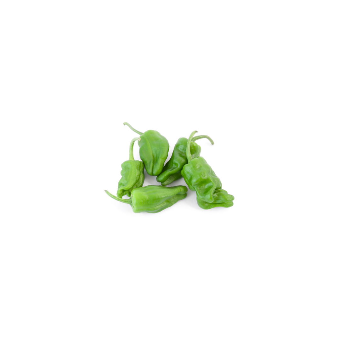 Peppers - Padron