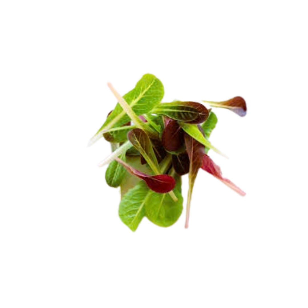 Petite Bouche Seasonal Mix
