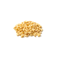 Pine Nuts