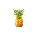 Pineapples - Crown/Tops On