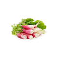 Radish - Breakfast