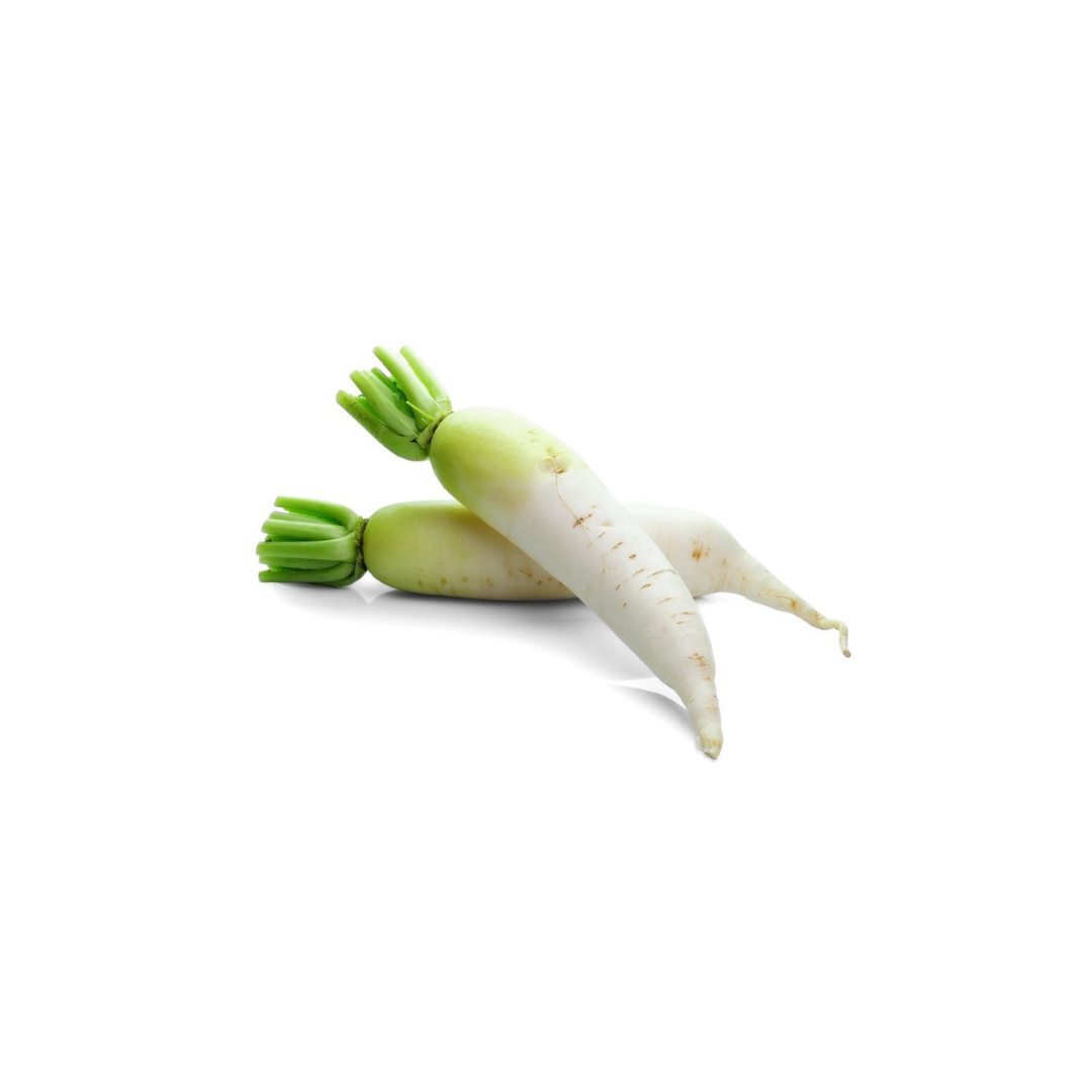 Radish - Daikon