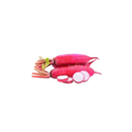 Radish - Red