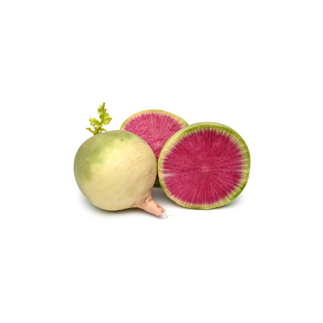 Radish - Watermelon