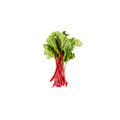 Rhubarb