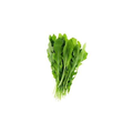 Rocket - Large/Broad Leaf