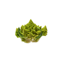 Romanesco