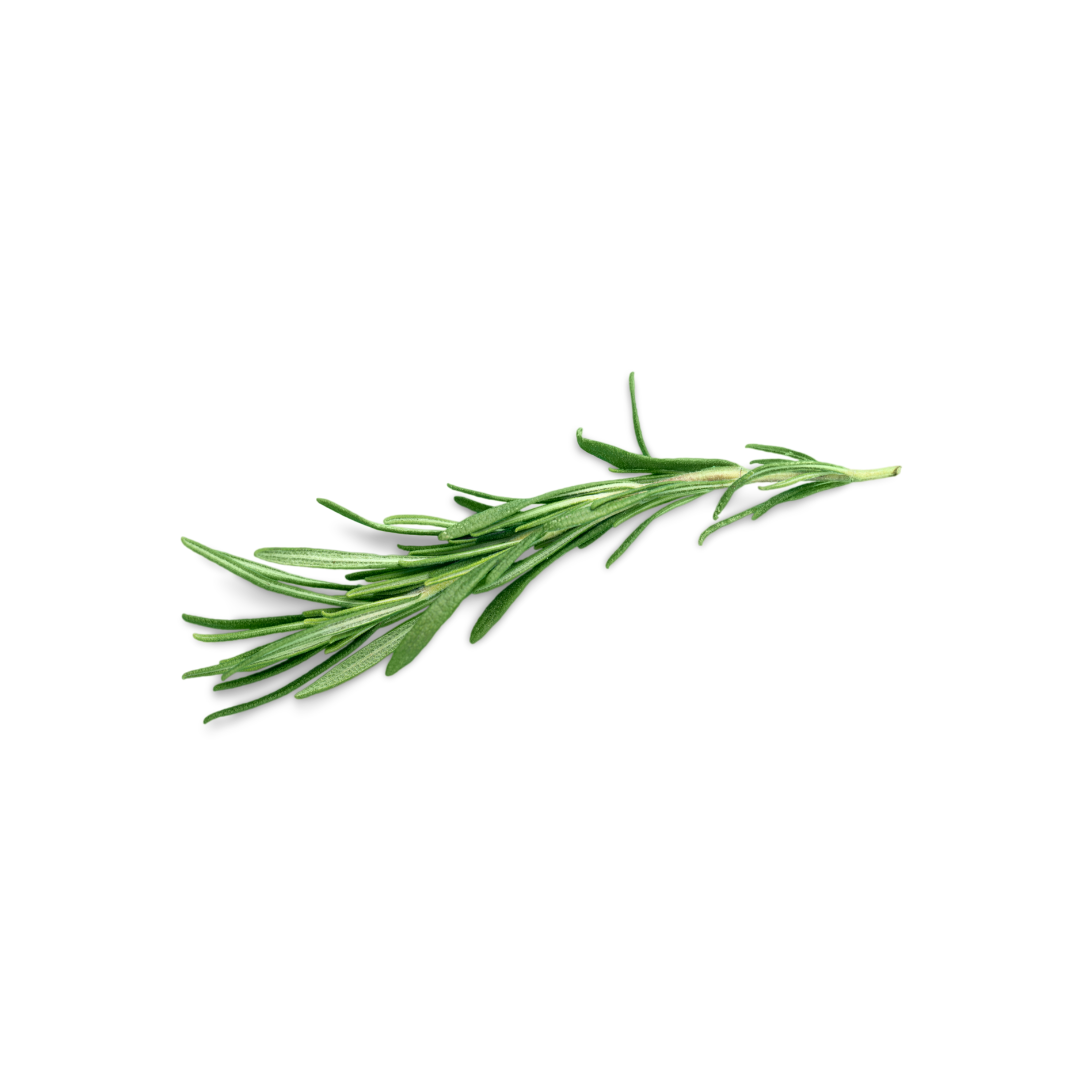 Rosemary