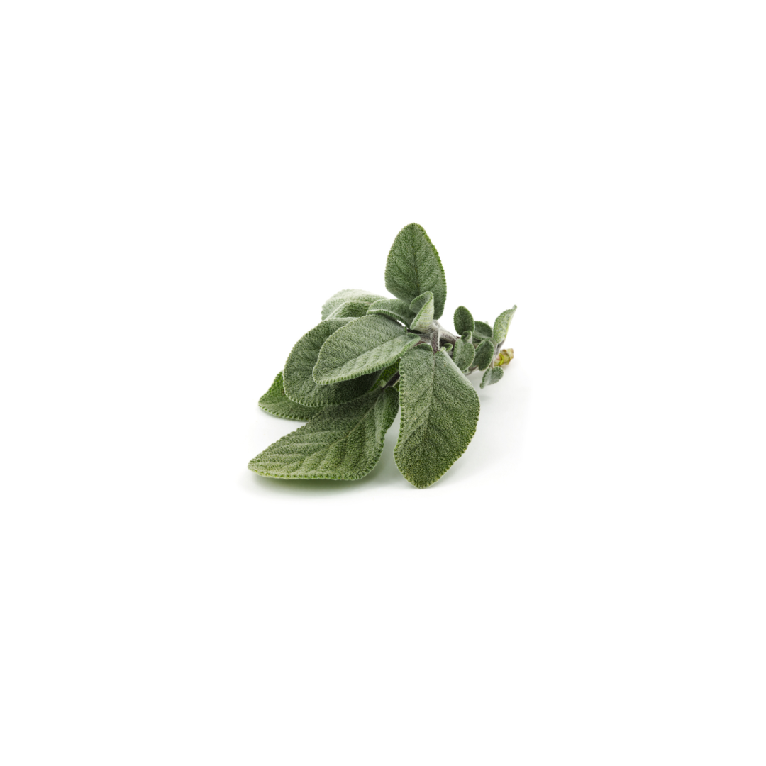 Sage