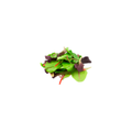 Salad Mix