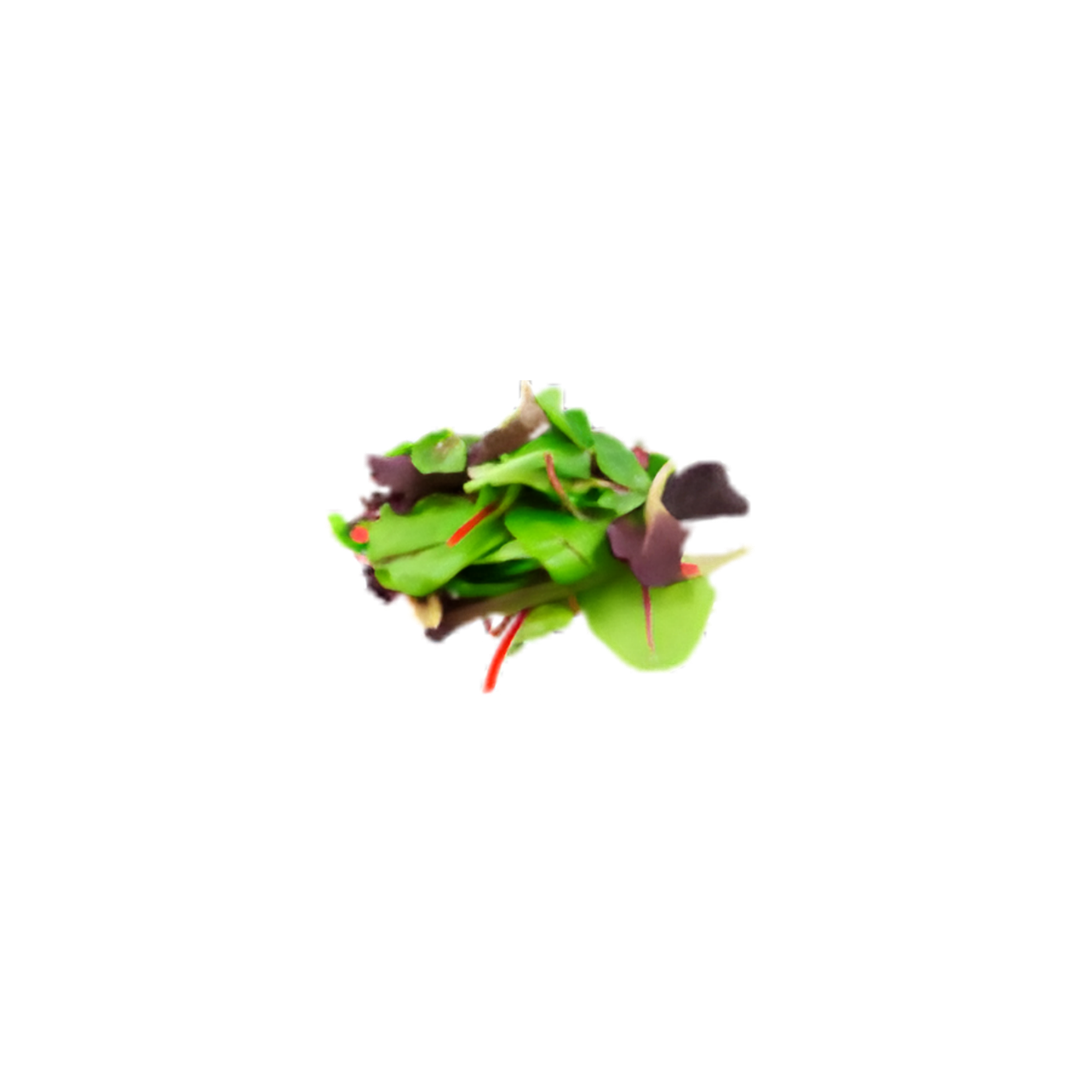 Salad Mix