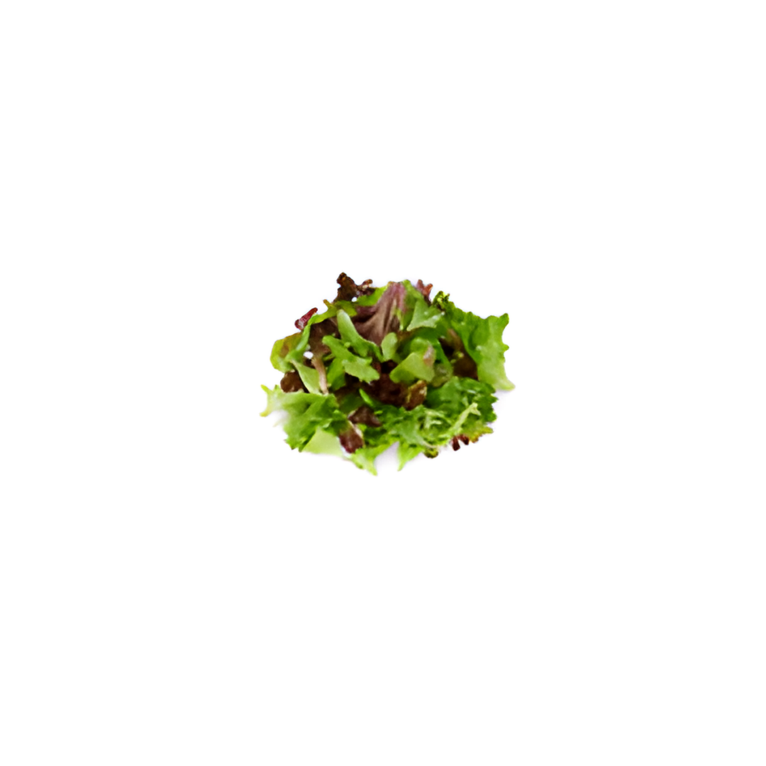 Salad Mix 'Coolibah'