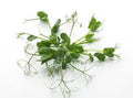 Snow Pea Tendrils