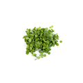 Snow Pea Tendrils