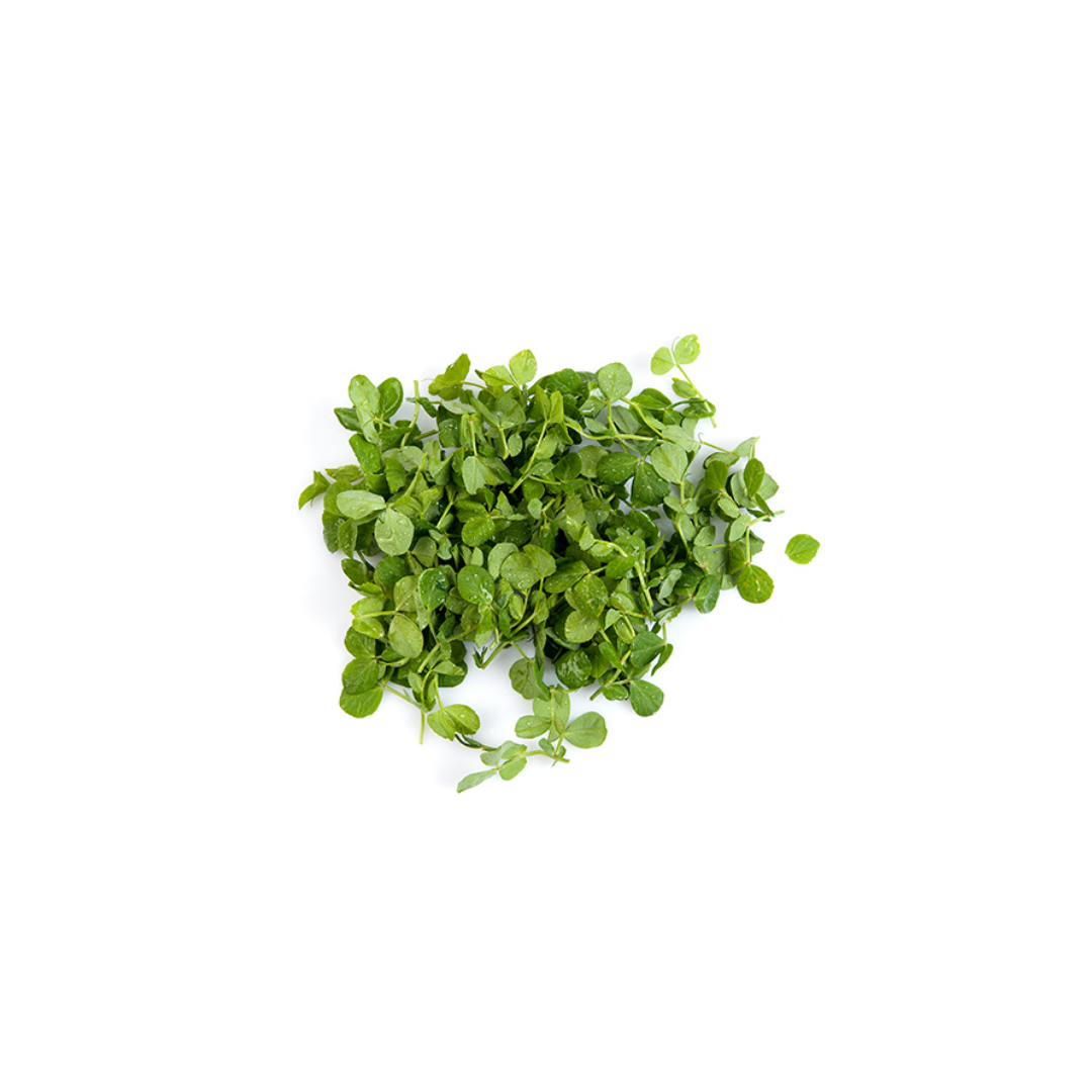 Snow Pea Tendrils