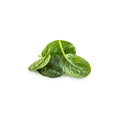 Spinach - Baby