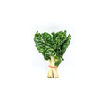 Spinach/Silverbeet