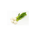 Turnips