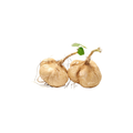 Yam Bean / Jicama