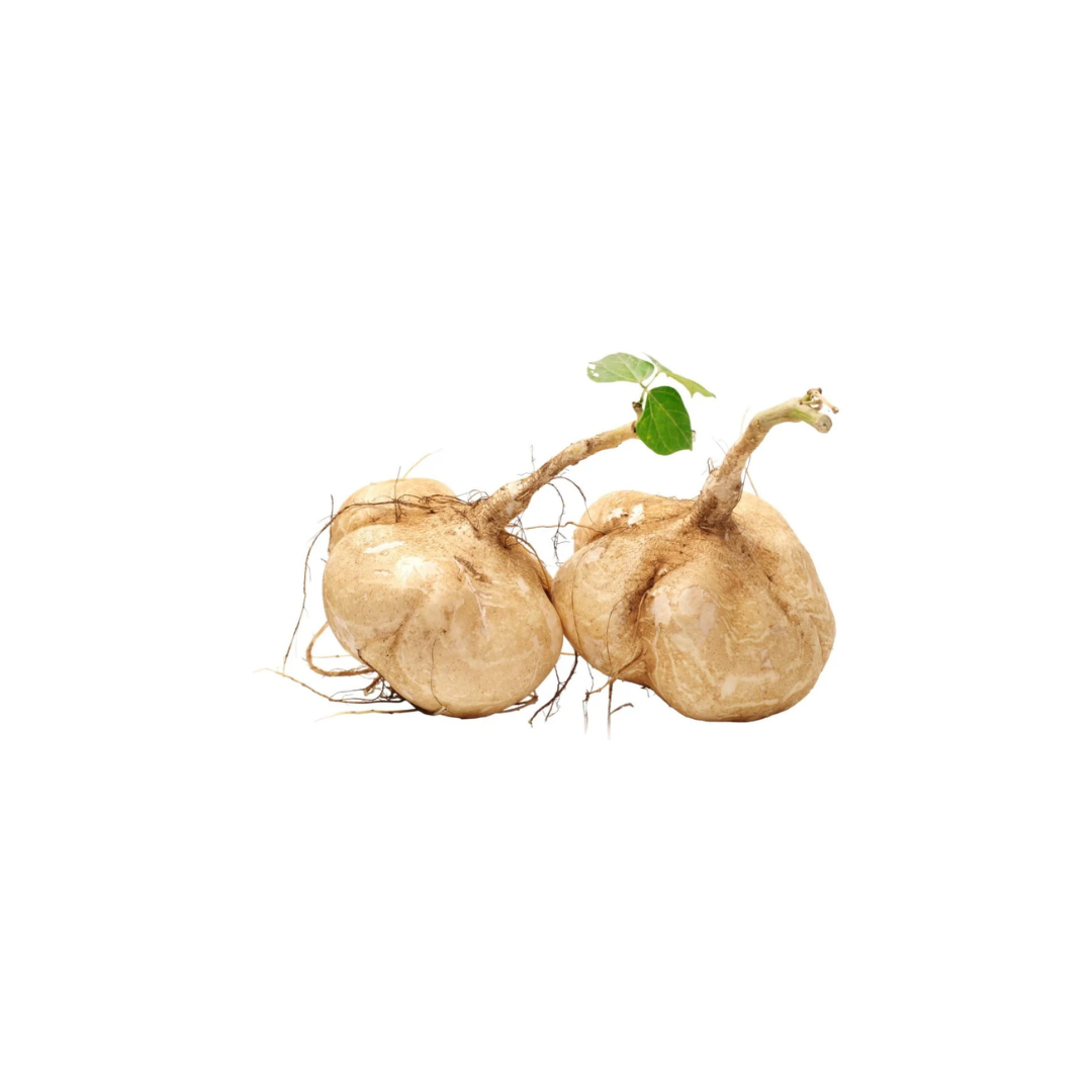 Yam Bean / Jicama