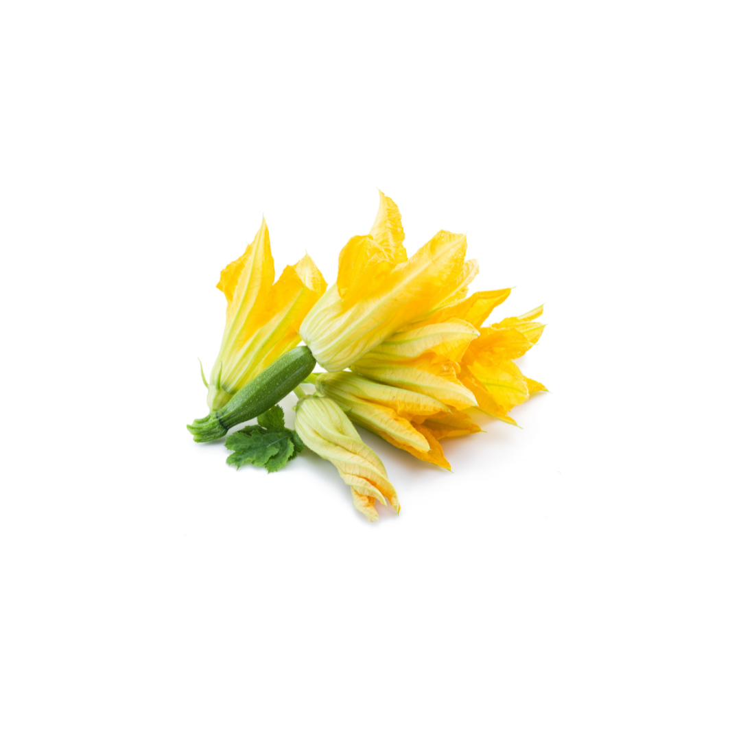 Zucchini Flowers