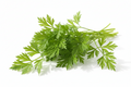 Chervil