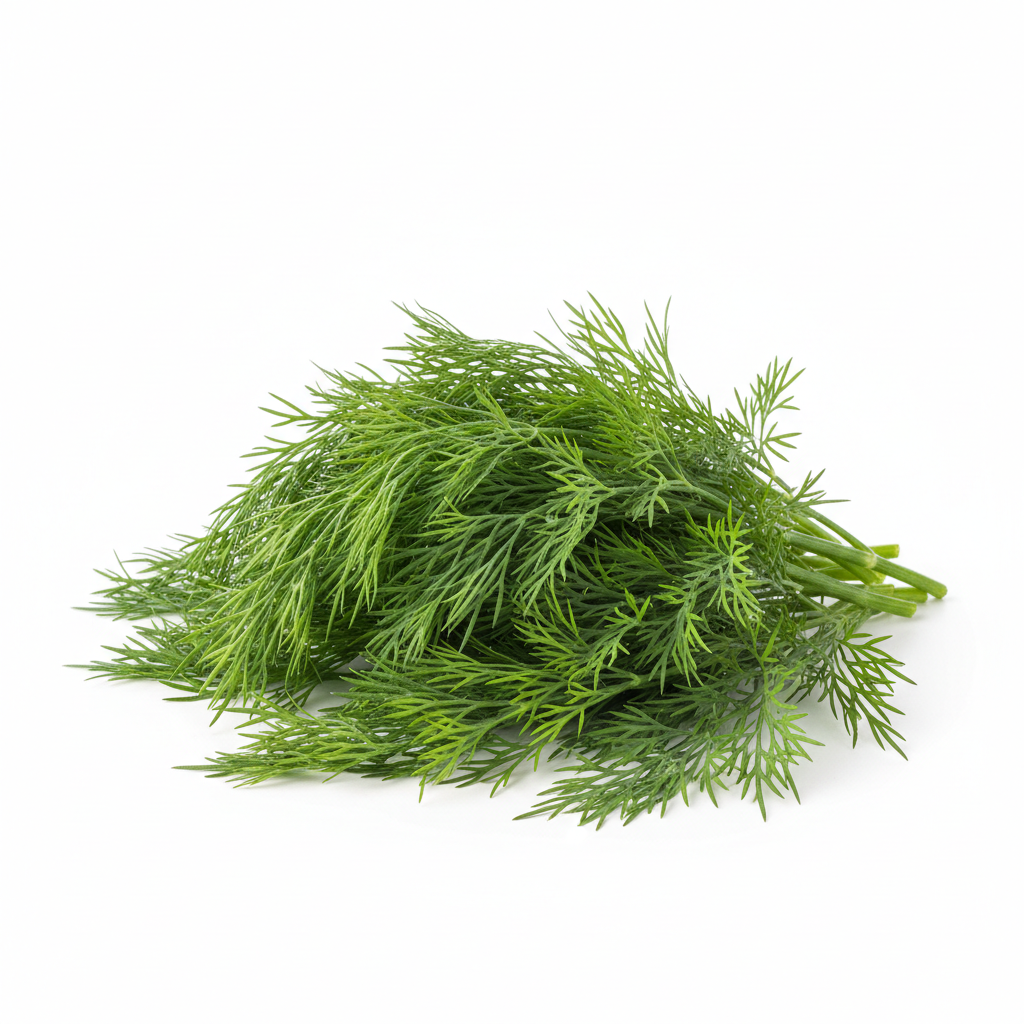 Dill