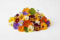 Flowers Edible