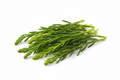 Natives - Samphire